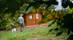Stefano Aprile, trifulao albese, presso la trifulaia didattica al Ristorante Il Vigneto di Roddi Stefano Aprile, trifulao albese, presso la trifulaia didattica al Ristorante Il Vigneto di Roddi