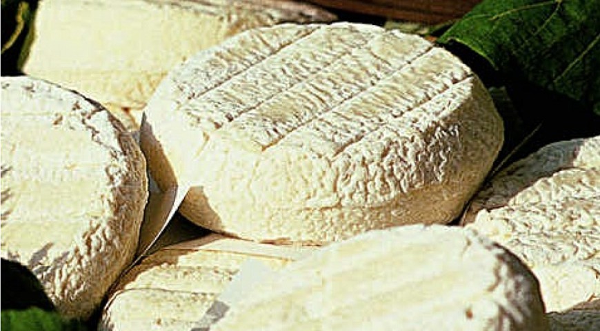 Toma Piemontese