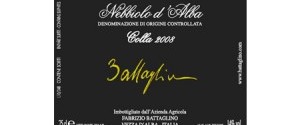 nebbiolo2008_th-300x140