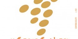Grappoli-Moscato-dAsti-2010-250x334