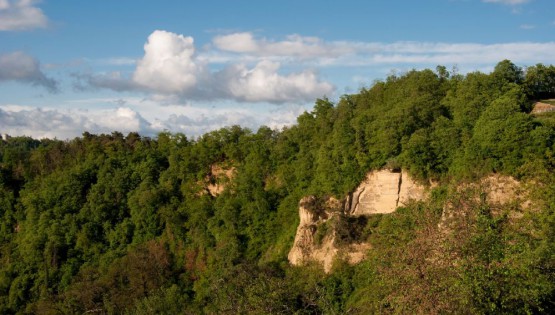 Itinerario del Roero