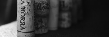 660_DSC_5778-960x440