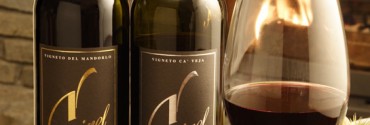 Barbera-e-Dolcetto
