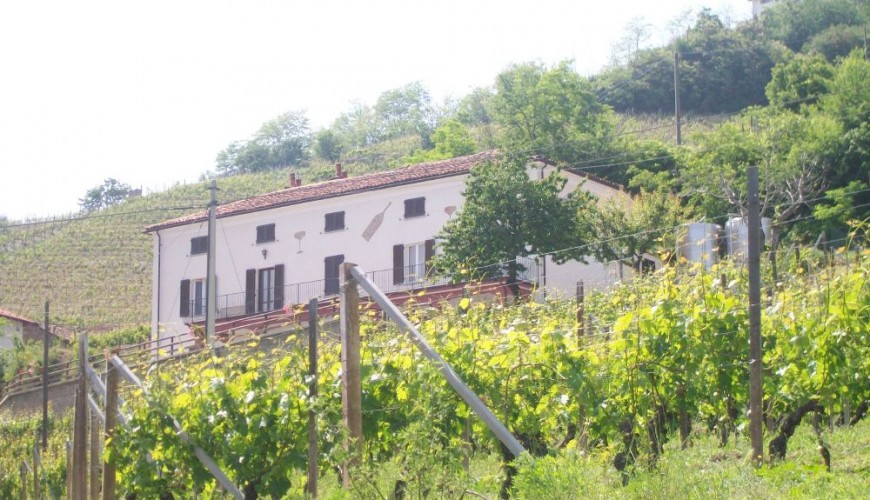 Dalle vigne