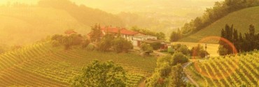 L'azienda