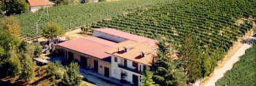 L'azienda