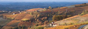 Paesaggio25