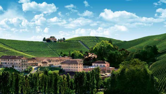 Vinum in Cantina: Ugo Alciati a Fontanafredda