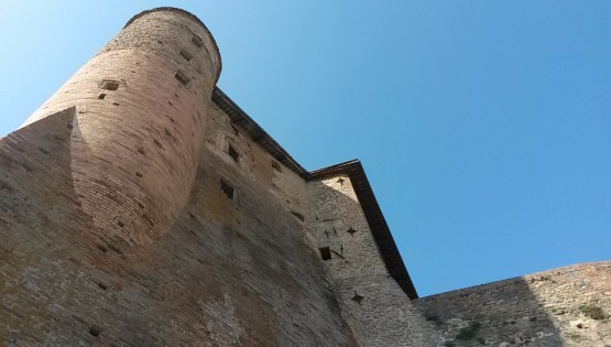 Tra vigne e castelli: il gran sentiero del Barolo