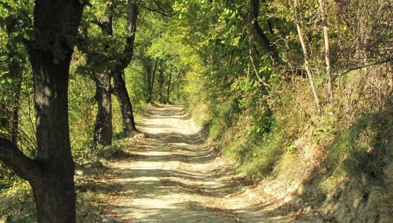 A piedi da Torresina ad Igliano