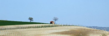 Paesaggi e vigneti di La Morra