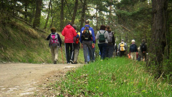 Grande Traversata delle Langhe: Saliceto – Gottasecca – Prunetto – Levice – Bergolo