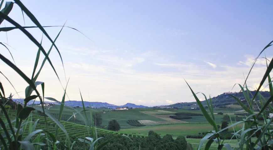 Le colline delle Langhe viste da Roddi