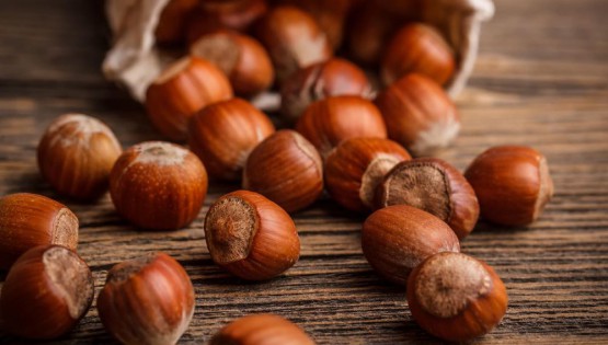 Festival Contro: Fiera della Nocciola