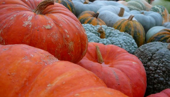 Fiera della Zucca