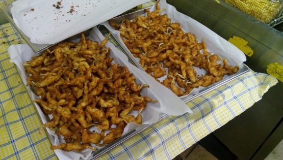 Sagra delle Rane