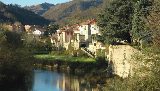 In Bici tra Langa e Monferrato #1 Bistagno, Montechiaro, Castelletto, Terzo