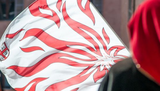 Festival della bandiera