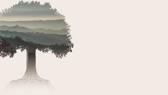 Albero della Fiera del Tartufo
