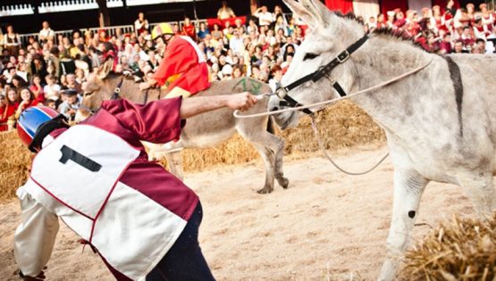Palio degli Asini e sfilata medioevale