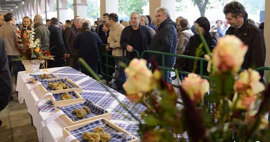 63^ Fiera del Tartufo