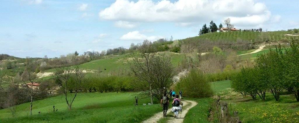 Terre Alte - eventi