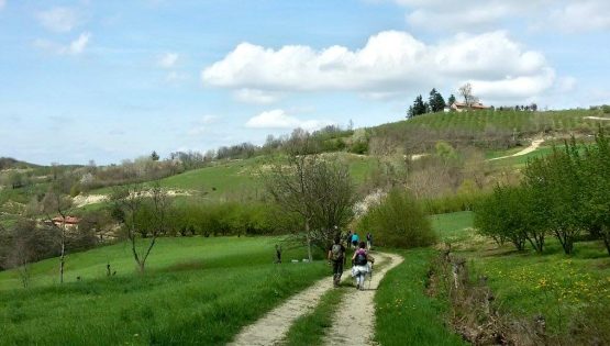Terre Alte - eventi