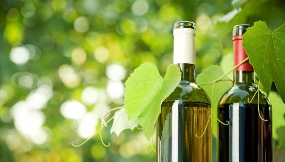 Vinissage