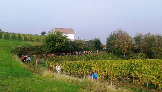 Camminata enogastronomica