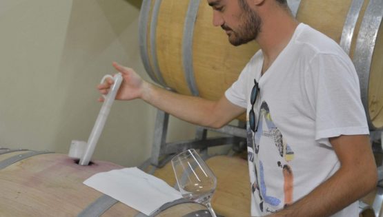 Bianco Angelo e Figlio: cantine aperte per Vinum