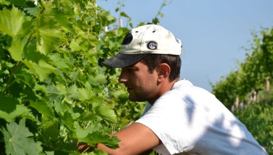 Runchét: Porte Aperte in Cantina per la Fiera del Tartufo