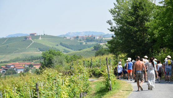 Saliscendi: camminata mangereccia