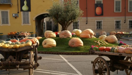 articolo-cosa-fare-a-settembre-piozzo