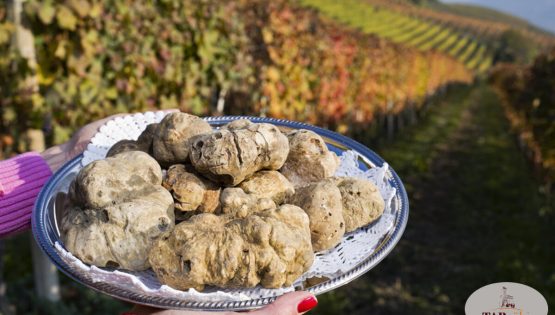 Trisobbio Tartufi e Vino