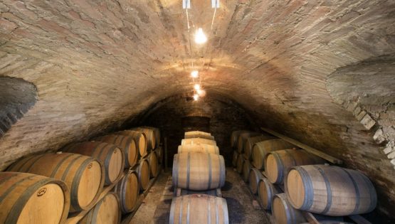 Vinum Incontra: Workshop Consorzio Barolo, Barbaresco Alba Langhe e Dogliani