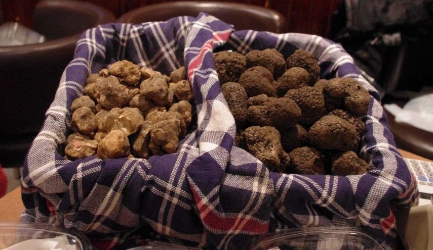 Fiera Del Tartufo San Sebastiano Curone