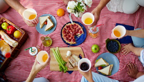 Picnic in vigna nel Roero