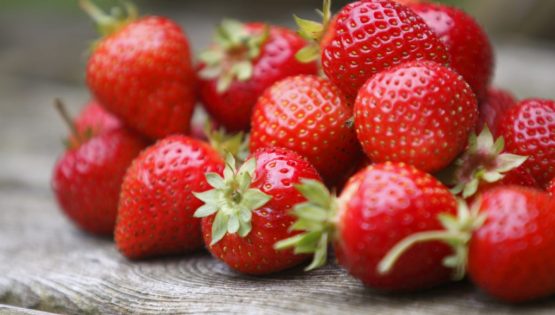 Elezione di Miss Fragola 2018