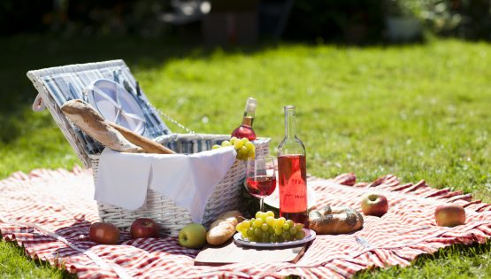 Picnic-coperta apparecchiata