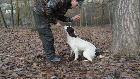 Ricerca simulata del tartufo con Langhe Truffle