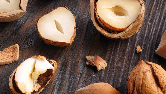 Nocciola Piemonte IGP Alta Langa: La più buona del mondo