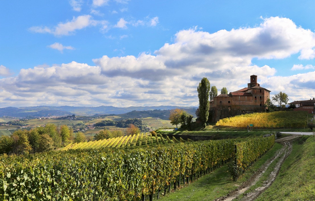 BAROLO VERGNE 2