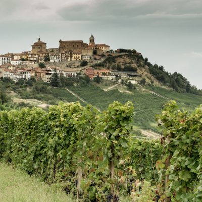 Vigneti di nebbiolo a La Morra