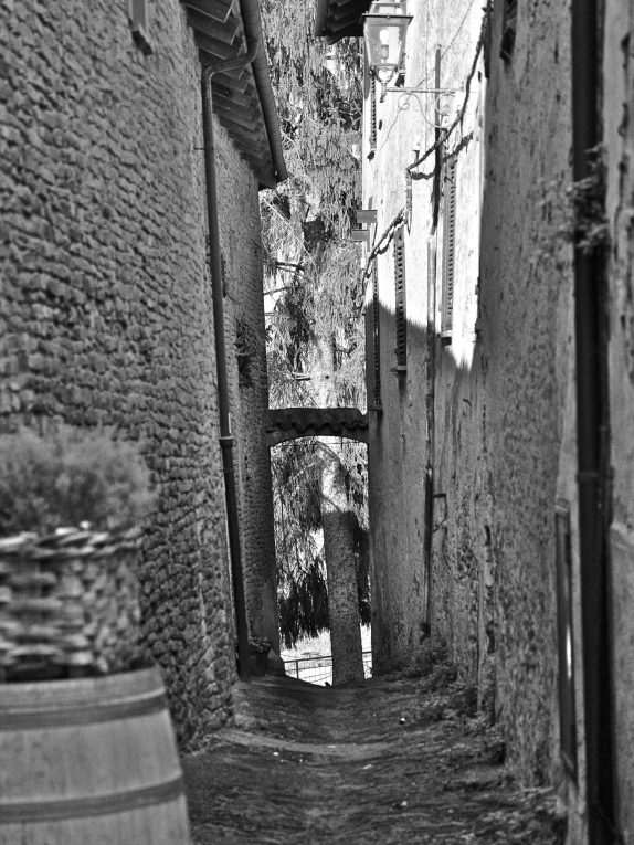 Scorcio di Mango