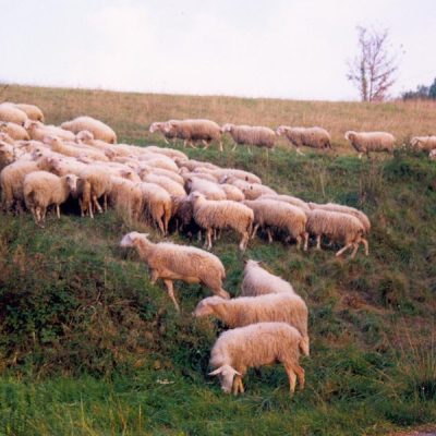 Mombarcaro