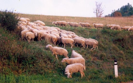Mombarcaro