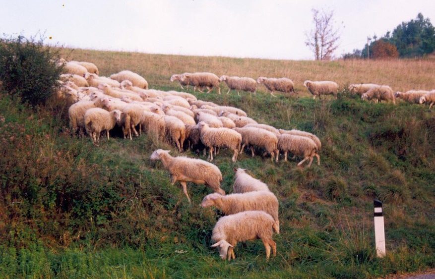 Mombarcaro
