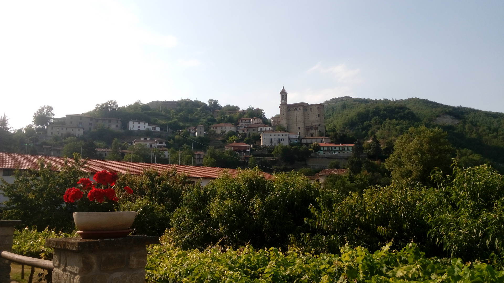 credits: Frukko Panorama di Cessole