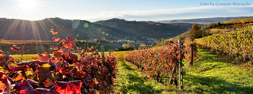 Foto by Corrado Morando