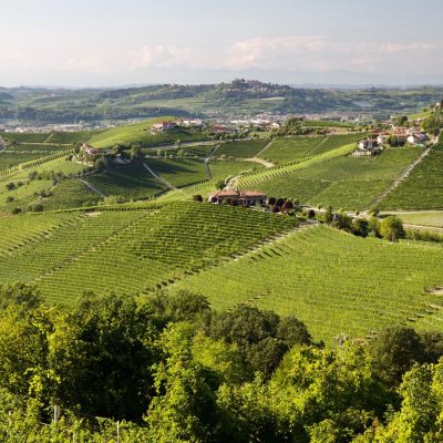 Barbaresco